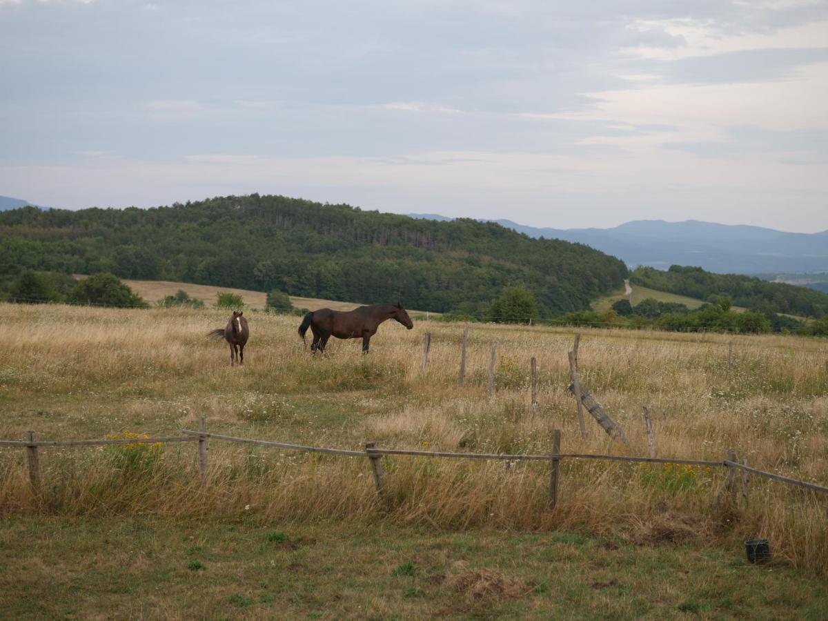 Selanka Off Road Hill View 호텔 Moravske Lieskove 외부 사진