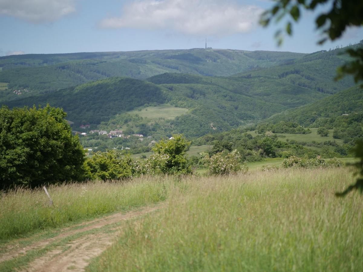 Selanka Off Road Hill View 호텔 Moravske Lieskove 외부 사진